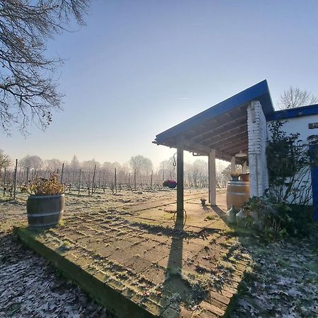 Wijnstaete Bed and Breakfast Lemelerveld Exteriör bild