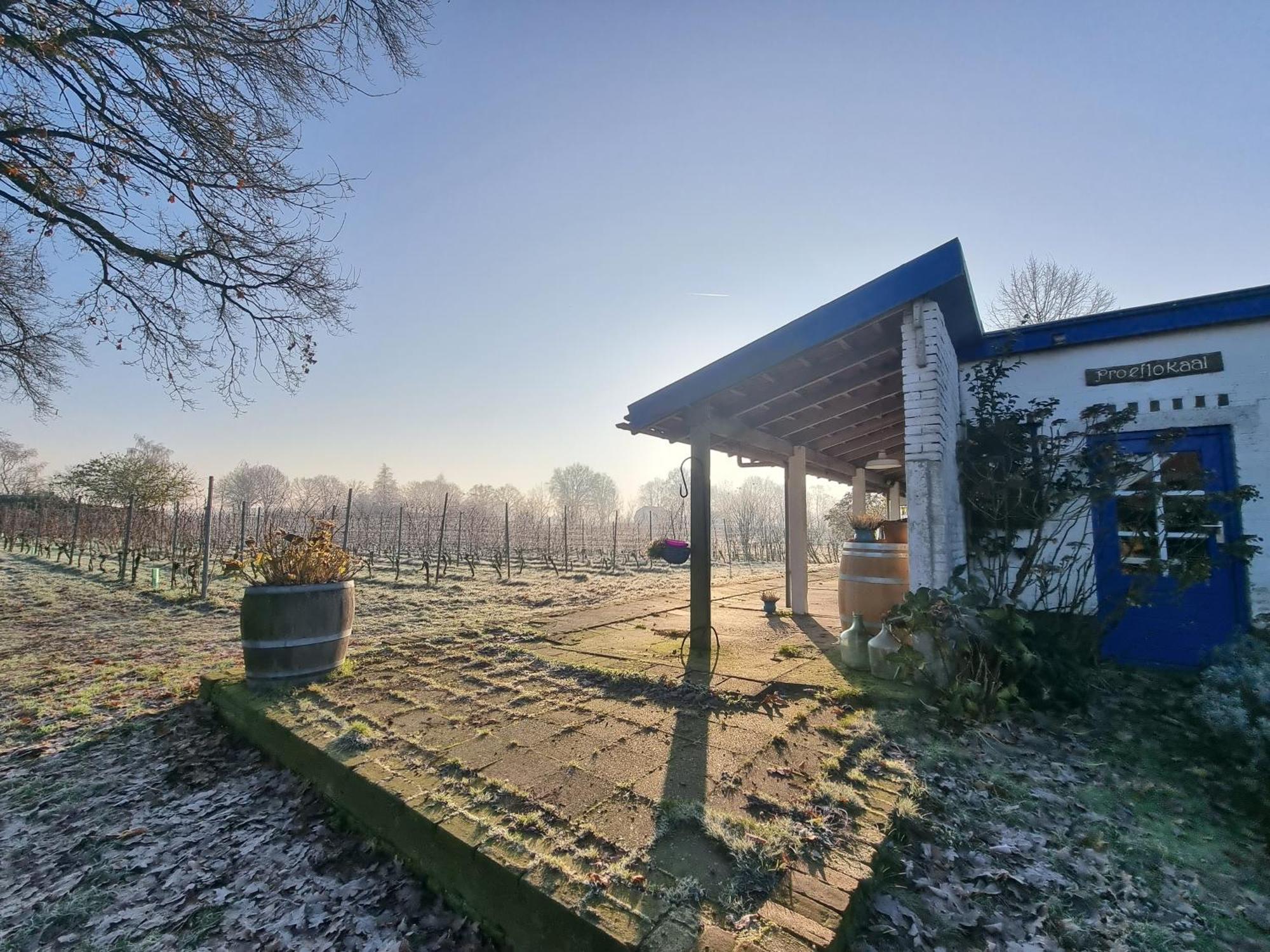 Wijnstaete Bed and Breakfast Lemelerveld Exteriör bild