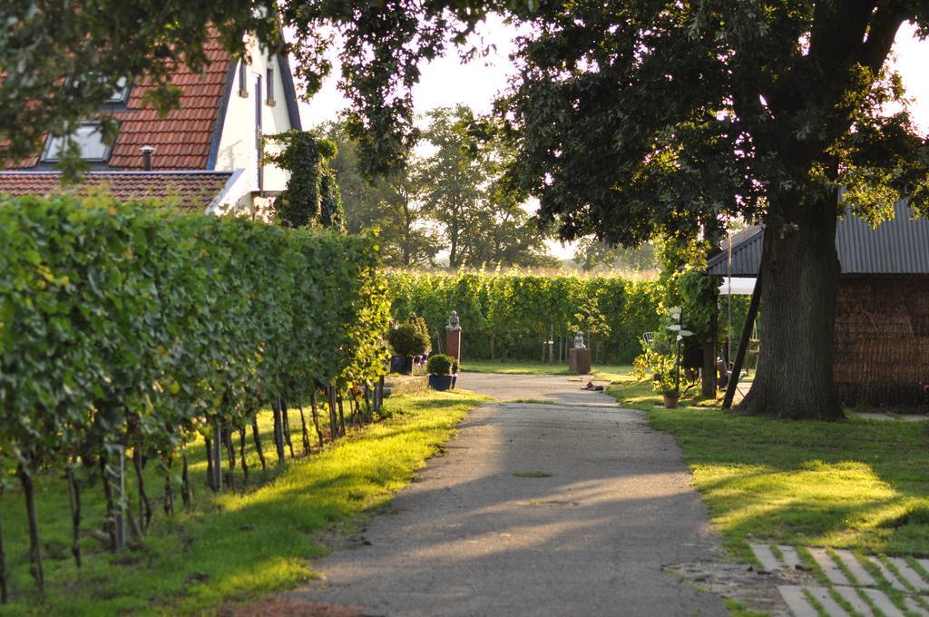 Wijnstaete Bed and Breakfast Lemelerveld Exteriör bild
